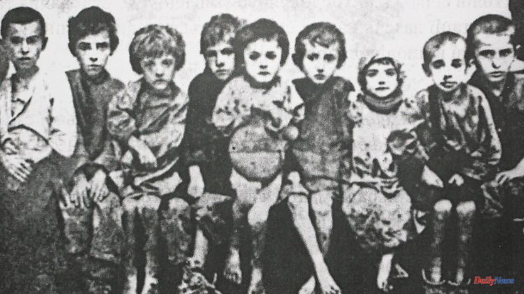 Holodomor as genocide: Bundestag wants to condemn Stalin's famine in Ukraine