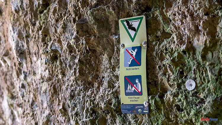 Bavaria: retreat for bats: do not enter caves in winter