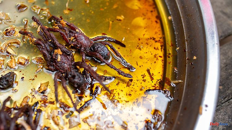 Delicatessen snack in Cambodia: It takes courage for fried tarantula