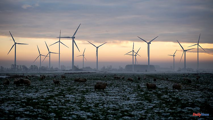 "A significant increase": Habeck sees wind power expansion gaining momentum