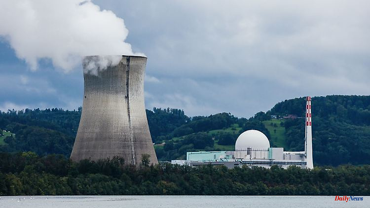 Baden-Württemberg: FDP discusses continued operation of nuclear power plants