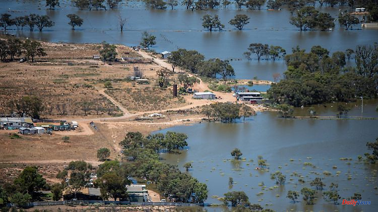 "Devastating effects": Australia is struggling with record floods