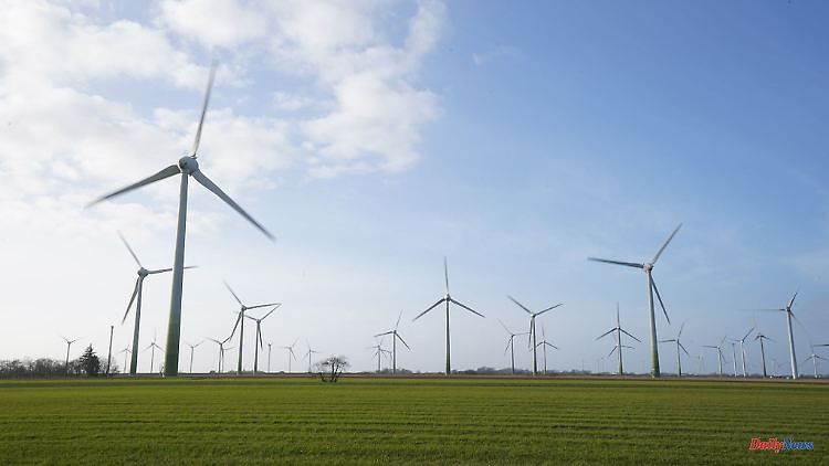 Partial environmental assessment omitted: Cabinet ignites turbo for wind power expansion