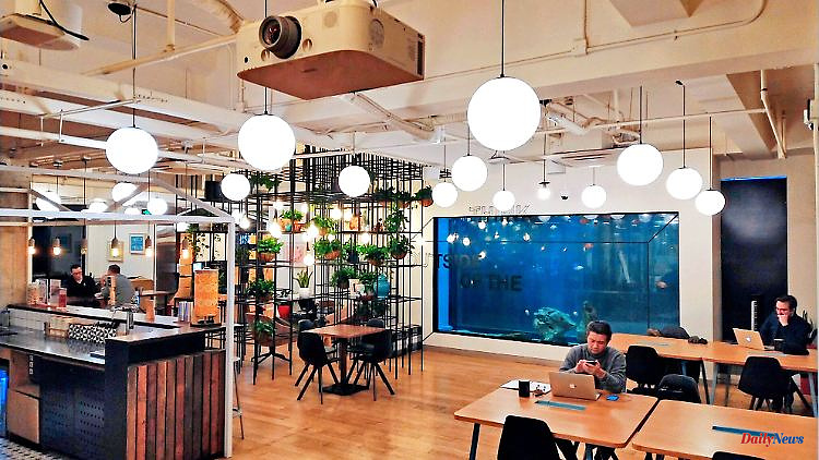 Coworking trend: "Working as a reason to come to the office is no longer enough"