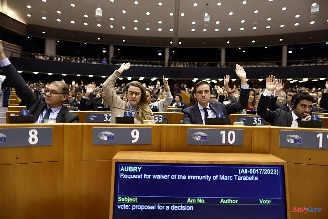 "Qatargate": waiver of immunity for two MEPs