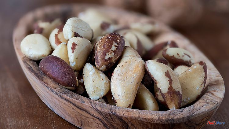 Öko-Test nibbles: All Brazil nuts are radioactive