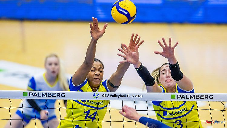 Mecklenburg-Western Pomerania: SSC coach after victory: "Had to pull out all the stops"