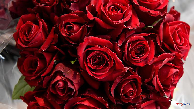 Roses in the Öko-Test: A bouquet of pesticides for Valentine's Day