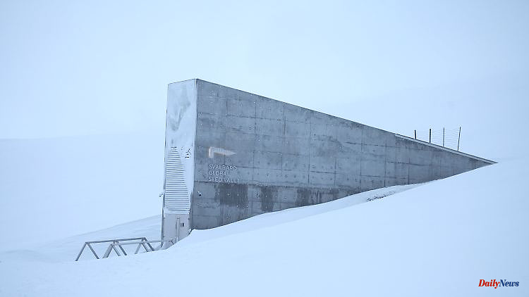 Insurance against extinction: seed vault houses icy reserve