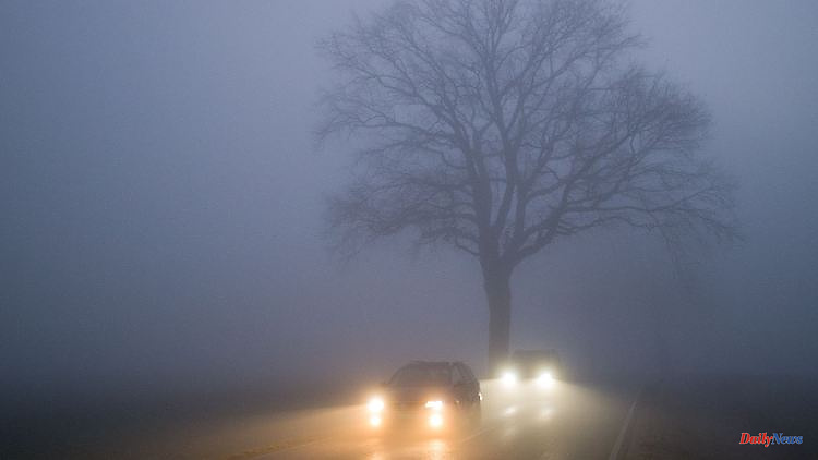 Keeping an eye on things: Drivers should bear this in mind when it is foggy