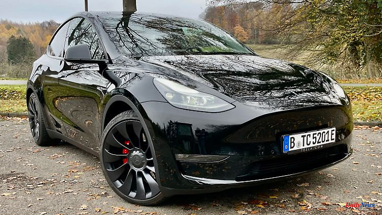 Rightly so successful?: Tesla Model Y Performance - somehow unique