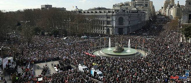 Monster demonstration in Madrid to defend the public health system