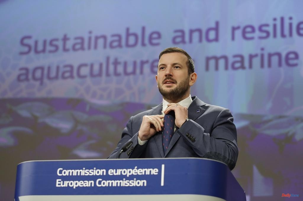 Economy Brussels asks to eliminate trawling in all protected waters of the EU by 2030