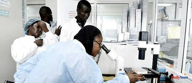Scientific research: African women don't give up