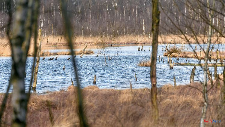 Thuringia: Nabu calls for more wetlands in Thuringia