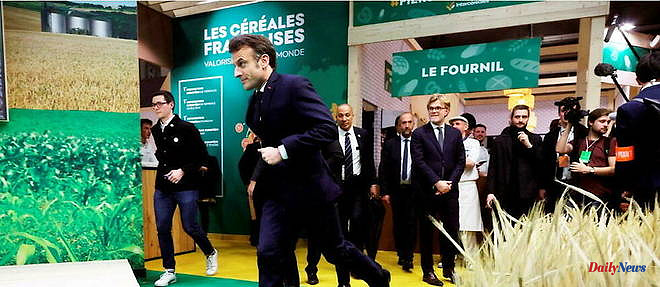 Agricultural show: a protester tackled to the ground during Macron's visit