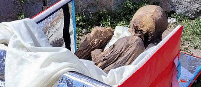 Peru: a pre-Hispanic mummy discovered… in the bag of a former delivery man