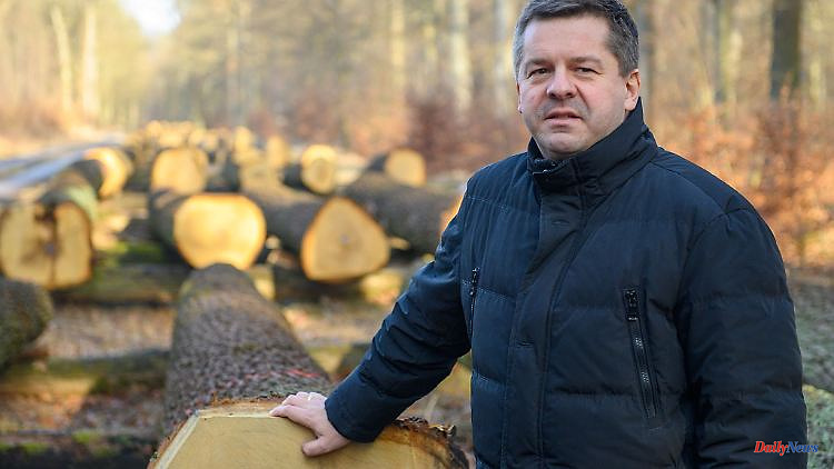 Saxony-Anhalt: Greens: Minister keeps forest fire reports under lock and key