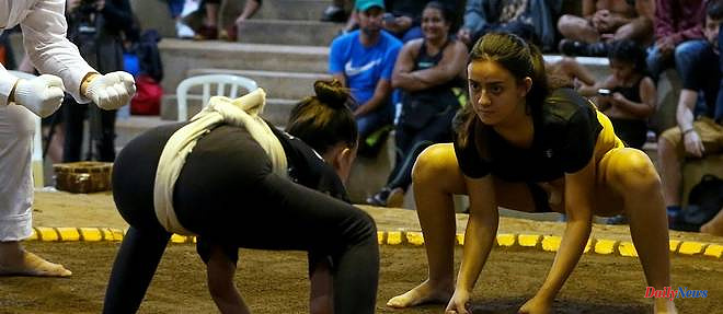 Brazil: prejudice in women's sumo, the other opponent to overthrow