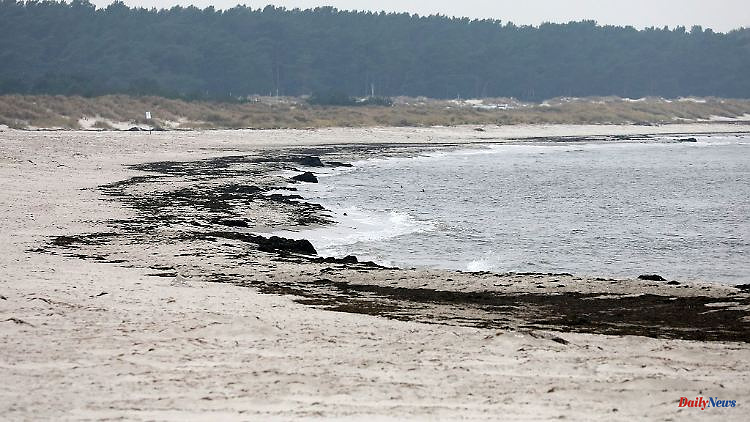 Mecklenburg-Western Pomerania: stranded barge on the Prerower beach: salvage difficult