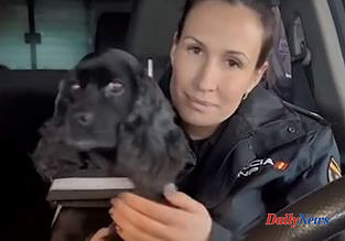 Spain The emotional message from the National Police to fire Lluna, a police dog, after ten years of service