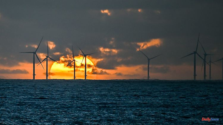 Pilot project in the Mediterranean: Nuclear power France is building the first floating wind farms
