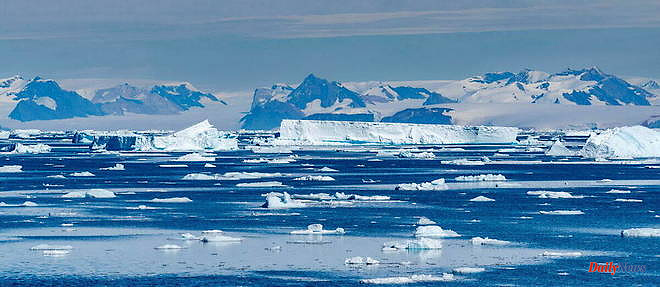 Climate: Antarctic sea ice hits record melt, confirms Copernicus