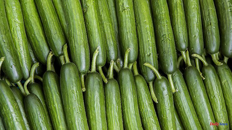 Edeka explains usurious price: cucumber for 3.29 euros causes a stir