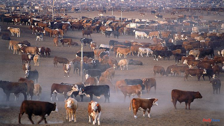 Food production heats up the earth: Researchers recommend a climate diet