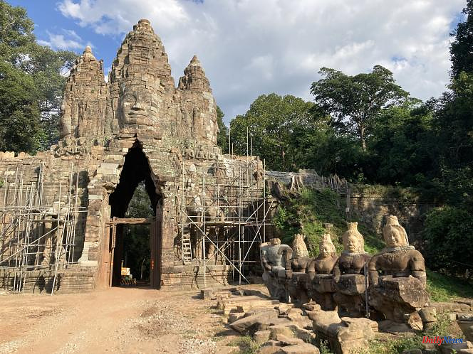 "The wonders of Cambodia", on France 5: beyond Angkor, to meet mine rats and retired elephants