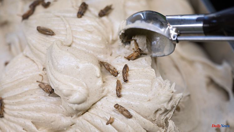 "Advertise with disgust": liver sausage ice cream maker now relies on insects