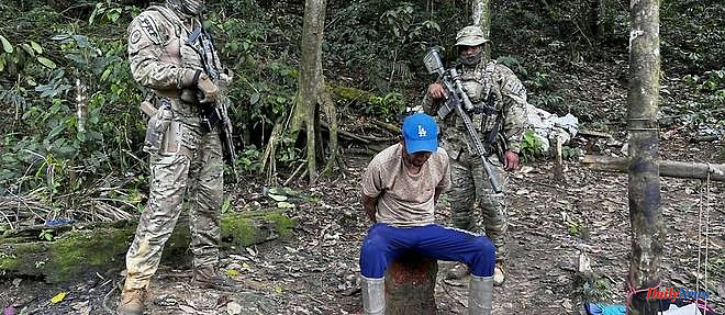 Brazil "lacks the means" to fight against gold panning, admits an official