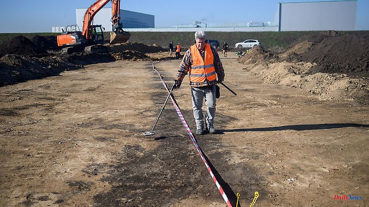 Saxony-Anhalt: Mysterious pit lines discovered near Halberstadt