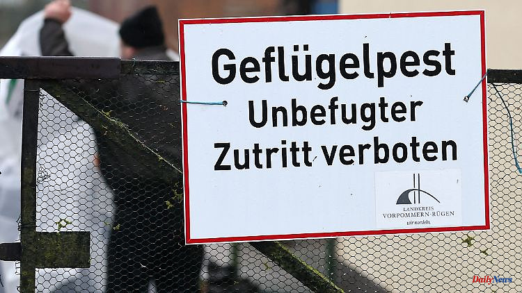Baden-Württemberg: Bird flu also detected in the Lake Constance district