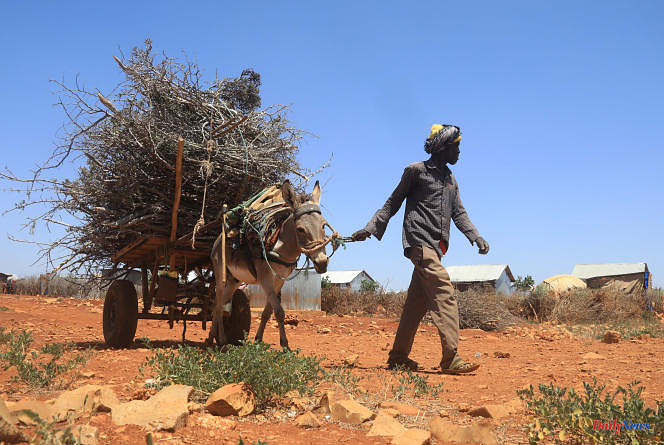"Climate change is gradually ending the way of life for some Somalis"