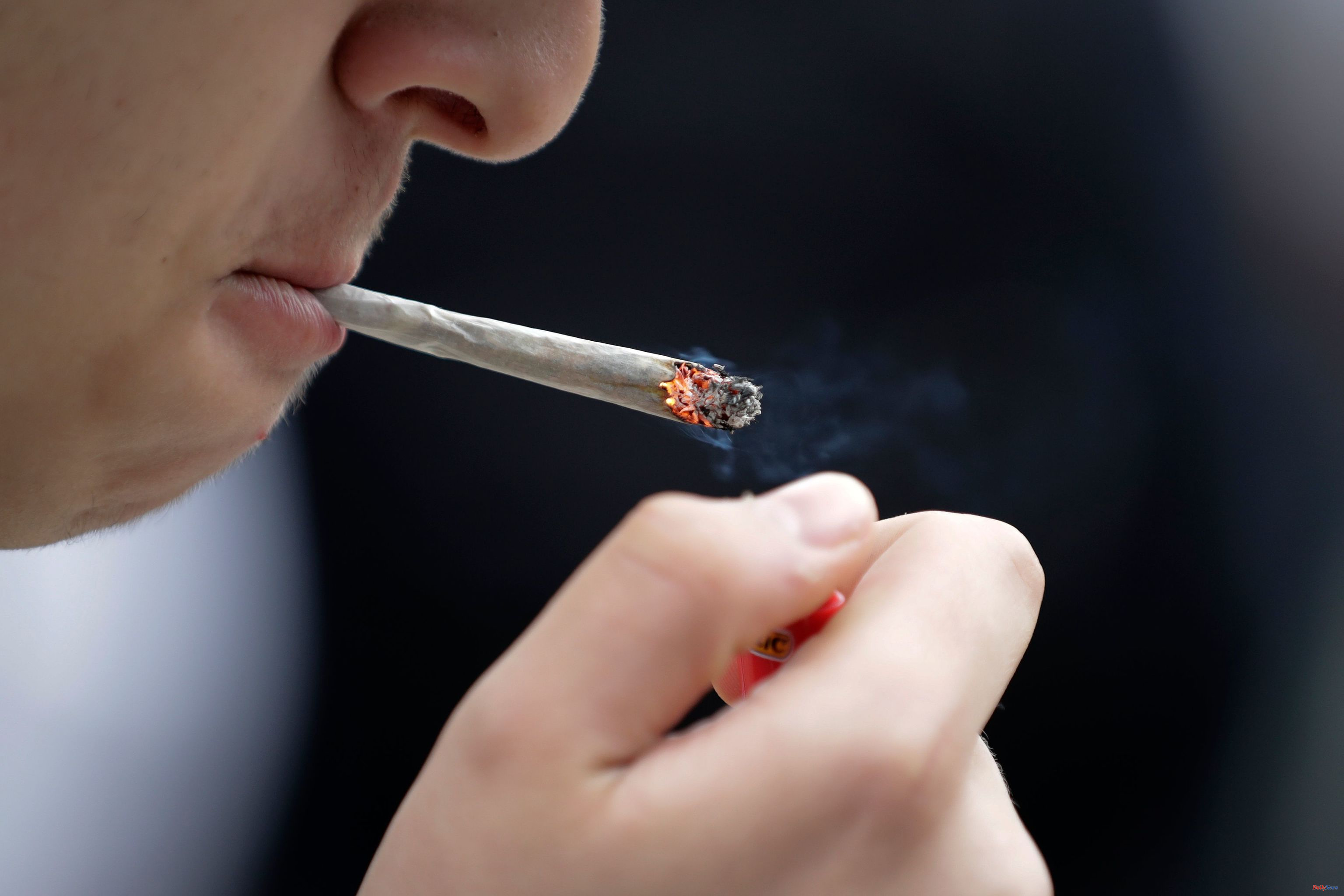 Spain A third of young people would smoke more cannabis or would try it if its consumption were regulated