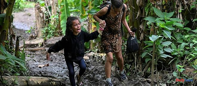 Panama: a record number of children cross the dangerous Darien jungle