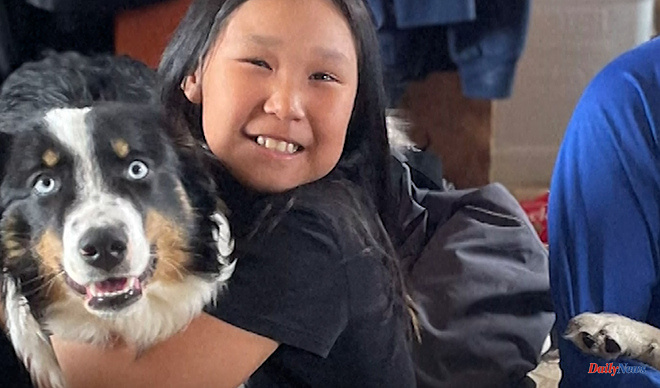 USA A lost dog survives on the Alaskan ice and travels 240 kilometers before being reunited with his family