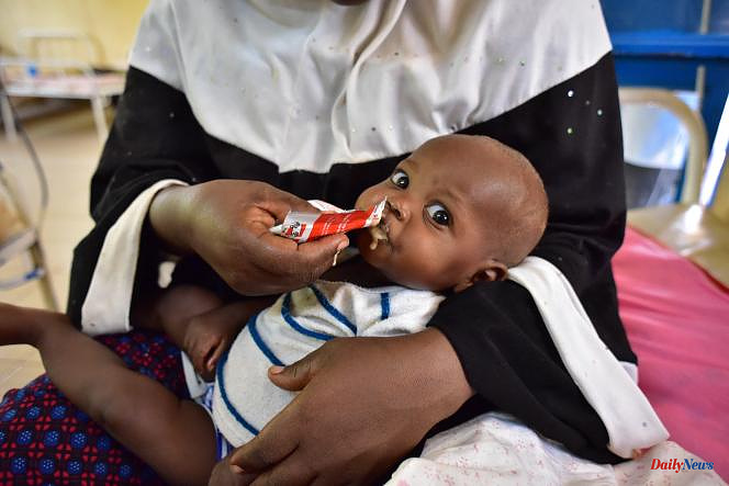 In the Sahel, nearly a million children exposed to acute malnutrition due to insecurity