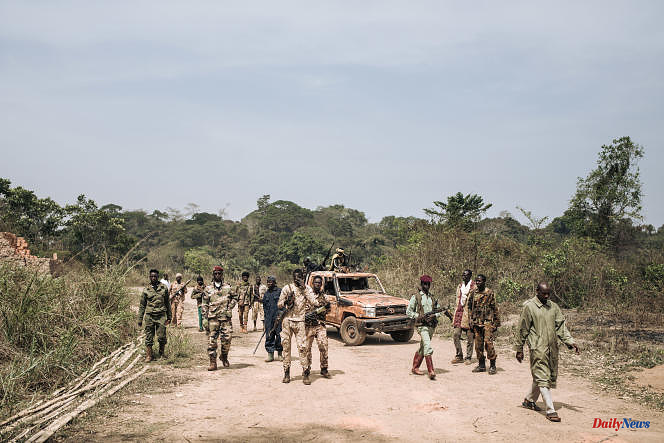 In the Central African Republic, CPC rebels free 19 soldiers taken prisoner in February