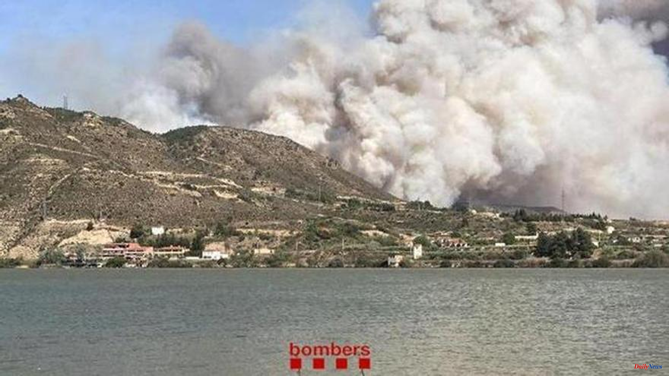 Spain Declared a forest fire in the Zaragoza town of Mequinenza, on the border with Catalonia