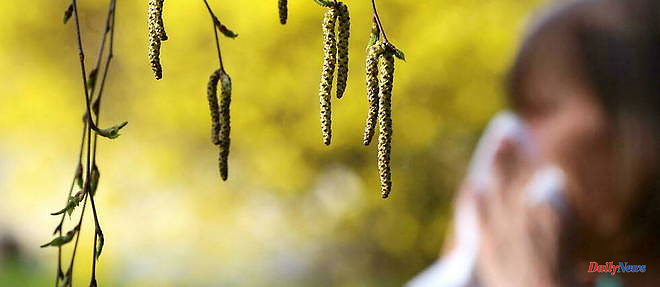 Pollen allergies boosted by climate change