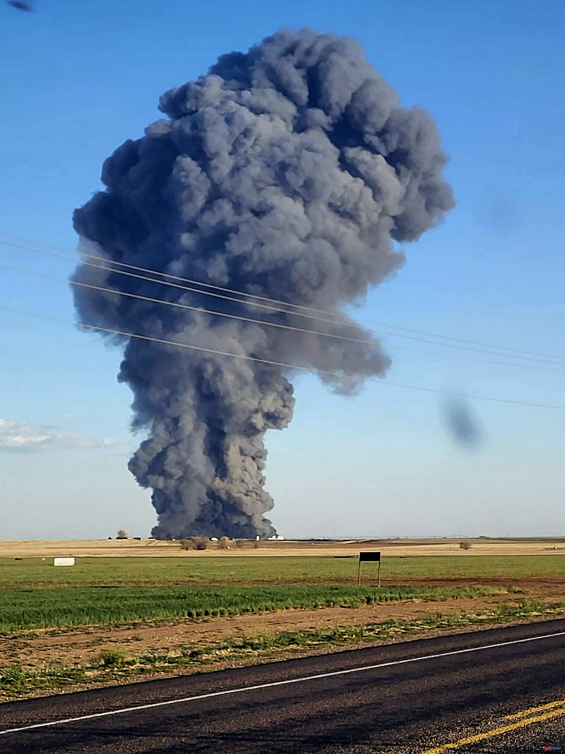 United States 18,000 cows killed in the explosion of a farm in Texas
