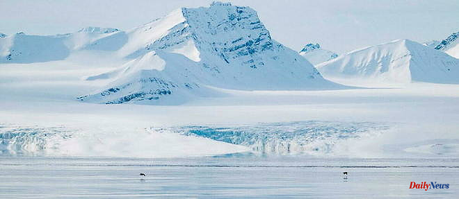 From the Arctic to the Antarctic, a race to save the memory of the climate