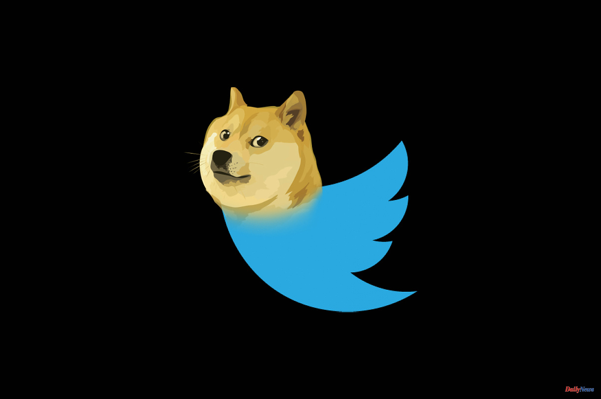 Technology The Dogecoin dog replaces the Twitter bird and the value of the cryptocurrency multiplies