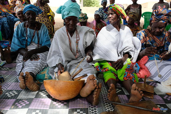 In Senegal, the revival of falé, a traditional ecological cotton