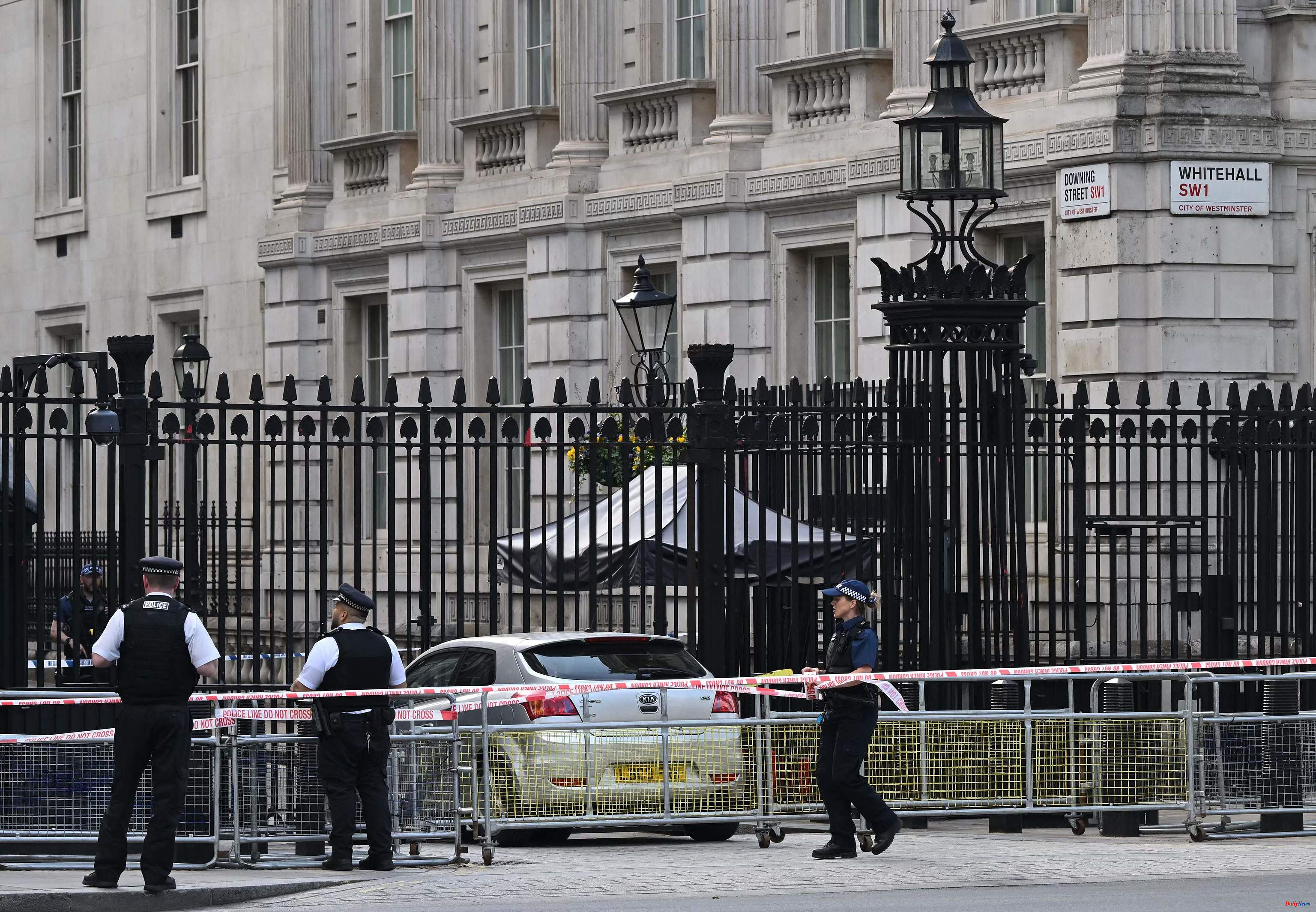 United Kingdom A man arrested after crashing his car into the gates of Downing Street