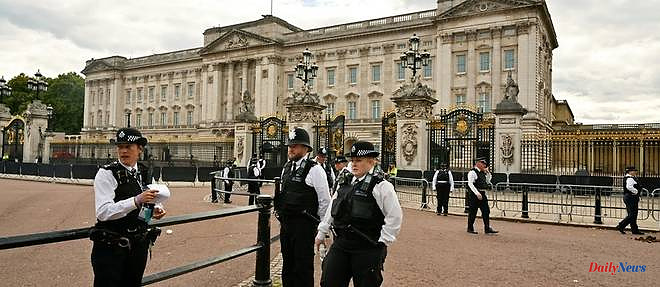 Arrest of a man who threw suspected ammunition in the grounds of Buckingham Palace