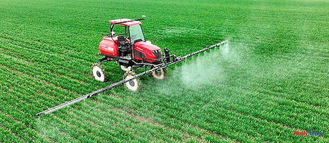 Pesticides in soil: study finds 'unexpected persistence'