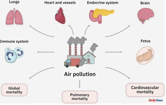 Studies Suggest Pollution Is Linked to Heart Failure